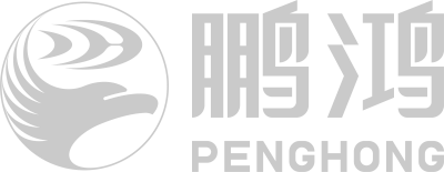 尊龙人生就是博首页logo