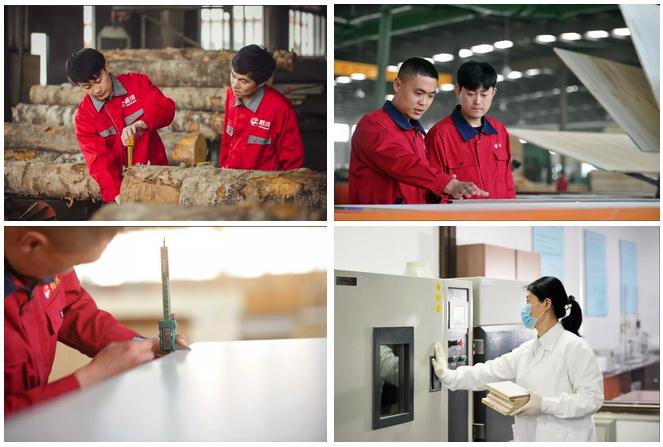 尊龙人生就是博·Z6「中国区」首页官网