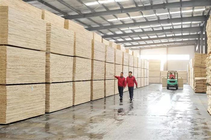 尊龙人生就是博·Z6「中国区」首页官网