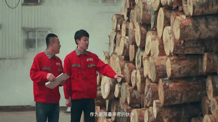 尊龙人生就是博·Z6「中国区」首页官网