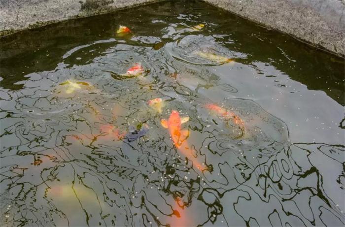 尊龙人生就是博·Z6「中国区」首页官网