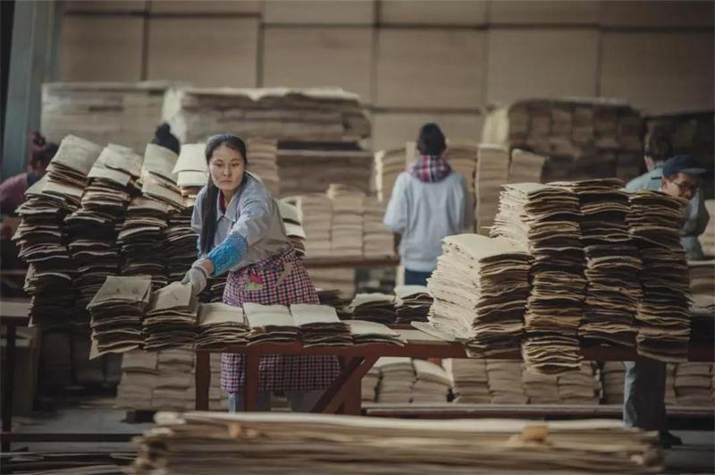 尊龙人生就是博首页之造——尊龙人生就是博首页22周年特殊奉献品质篇