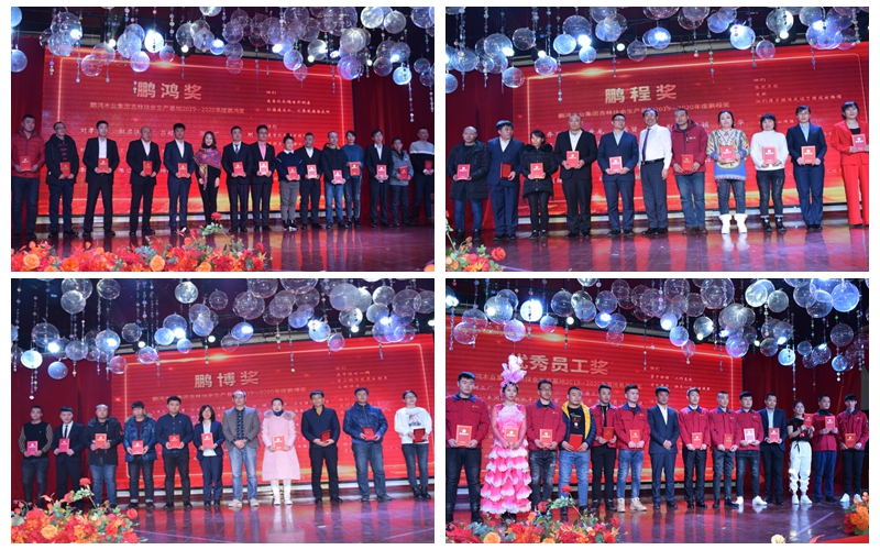 尊龙人生就是博首页板材家居工厂年度优异员工