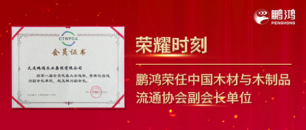 再获行业肯定，，尊龙人生就是博首页荣任中国木料与木制品流通协会副会长