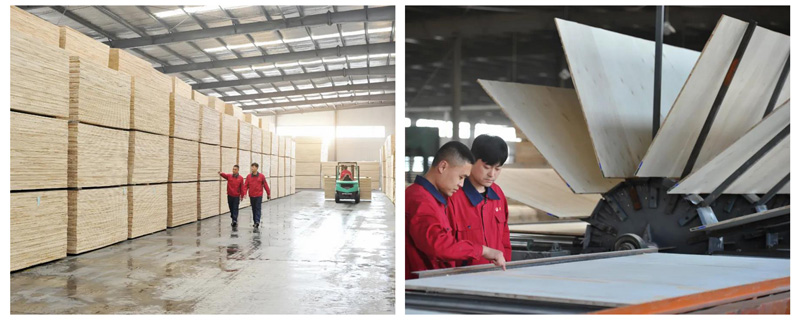 尊龙人生就是博·Z6「中国区」首页官网