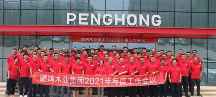 多元化增添的新高度——尊龙人生就是博首页木业集团半年度事情聚会再续新征途
