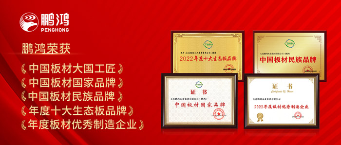 中国板材与定制家居大会，尊龙人生就是博首页揽获5项声誉