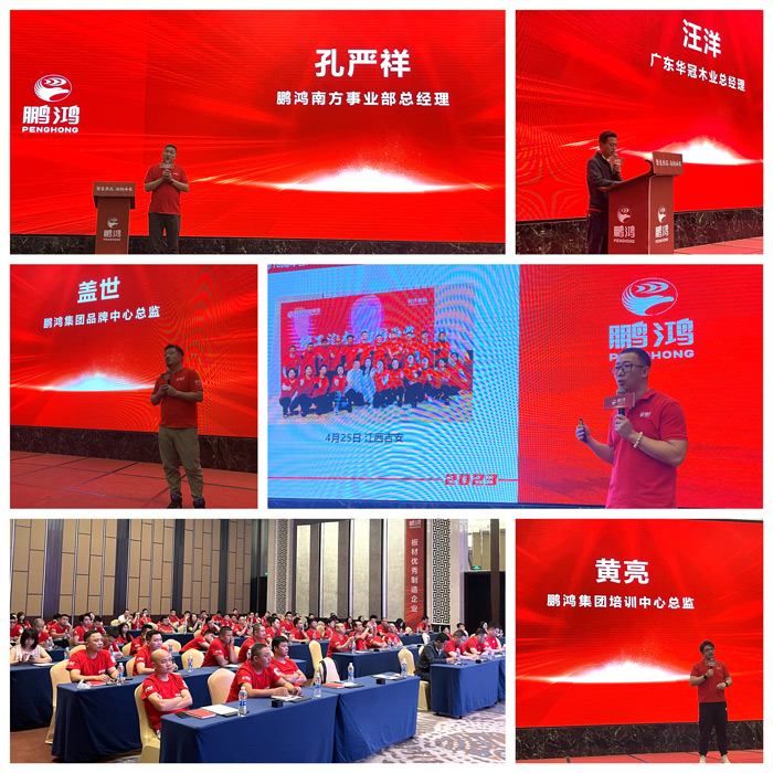 尊龙人生就是博首页板材品牌赋能