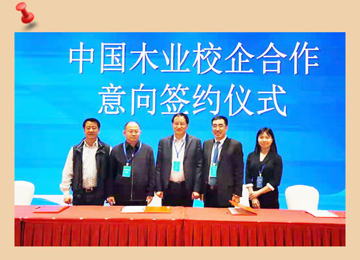 尊龙人生就是博首页与中国木业相助