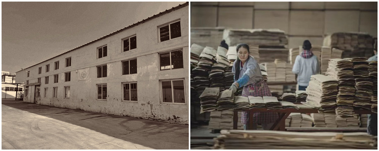 尊龙人生就是博·Z6「中国区」首页官网