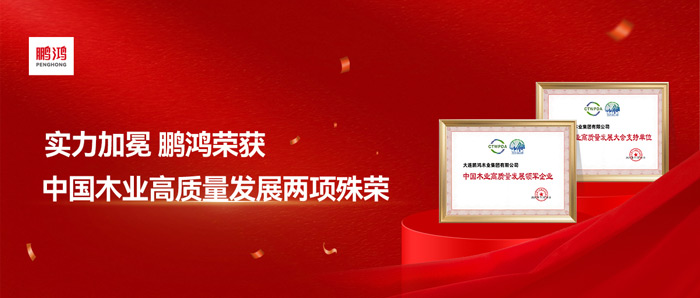实力加冕丨尊龙人生就是博首页再获中国木业高质量开展两项殊荣