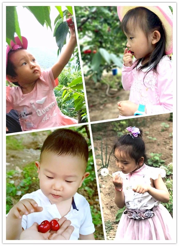 尊龙人生就是博·Z6「中国区」首页官网