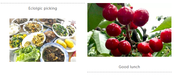 尊龙人生就是博·Z6「中国区」首页官网