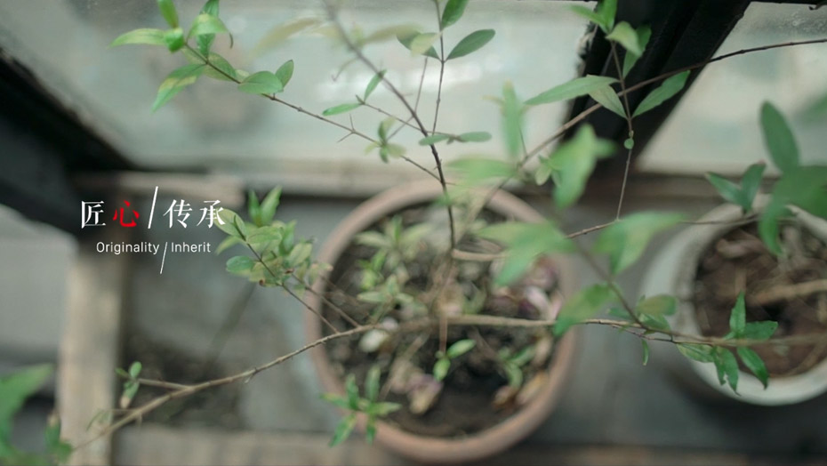 尊龙人生就是博·Z6「中国区」首页官网