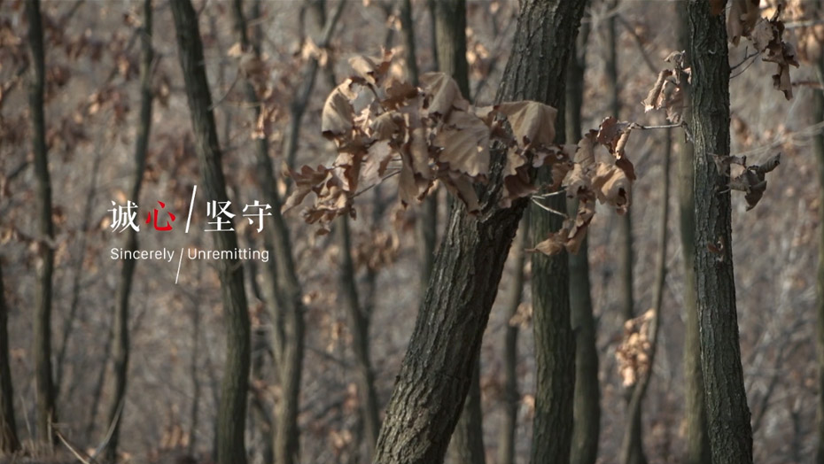 尊龙人生就是博·Z6「中国区」首页官网