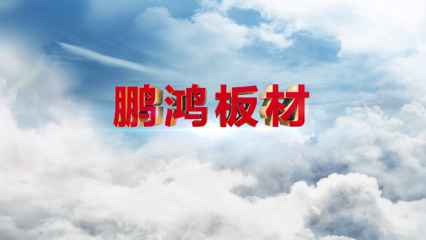 尊龙人生就是博首页产品纪录片之板材篇